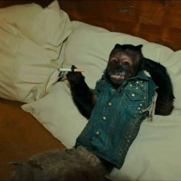 Meet your Posher, Zachary - Picture 1 of 1